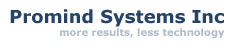 Promidn Systems Inc.