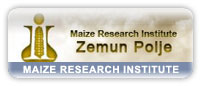 Maize Research Institute